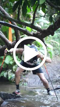 BIB:  <button type="button" onclick="openModal(27809029)" class="btn btn-primary btn-sm float-right" data-toggle="modal" data-target=".modal-high-quality">
                <i class="fa fa-download"></i> Download
                </button>